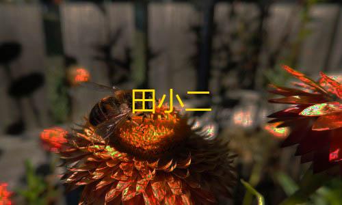 CFM直装科技(免费)田小二