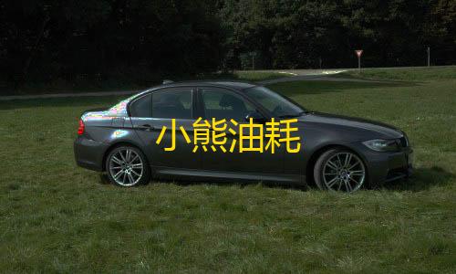 穿越火线辅助菜单下载小熊油耗